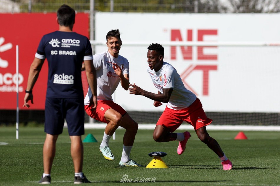 抗灰熊强劲 抗灰熊强劲